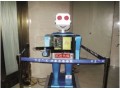 尽情领略高科技  走访中国六家机器人餐厅